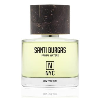 N – NYC – NEW YORK CITY
