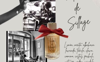Vetiver de sillage: nueva edición limitada