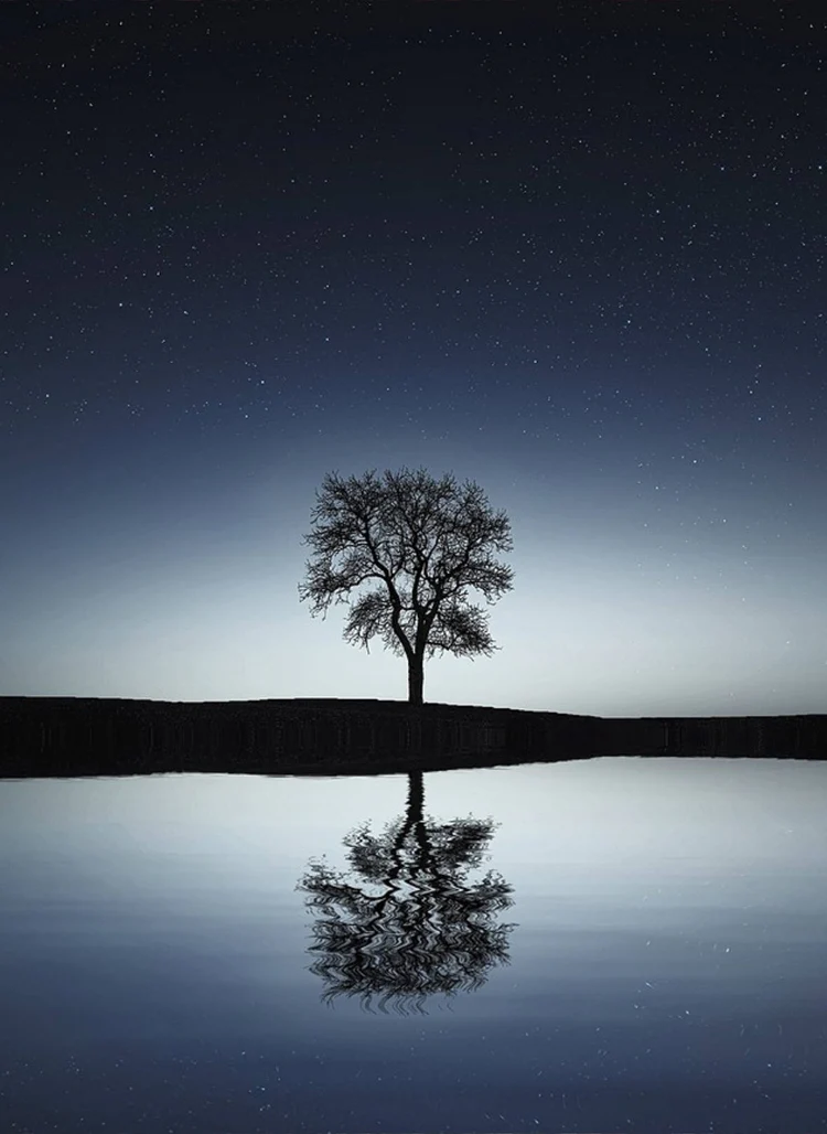 AGARBLUE - Imagen 2