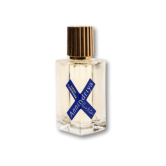 Vetiver Rain