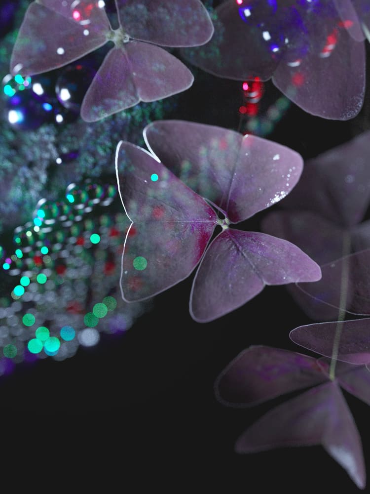 PISTIL - Imagen 2