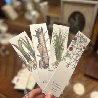 PUNTOS DE LIBRO PERFUMADOS