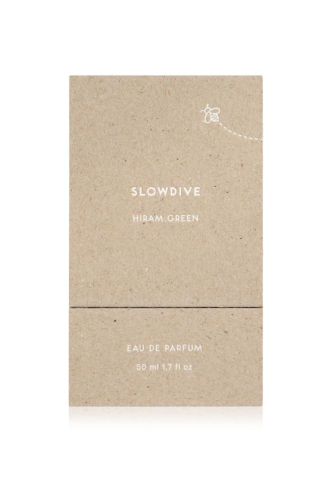 SLOWDIVE - Imagen 2
